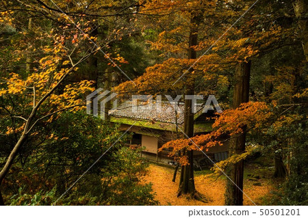 Temple: Autumn leaves 50501201