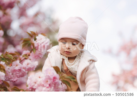 Cute baby girl between pink branches play with leaflets. Happy little girl surrounded by sakura Cute baby girl between pink branches play with leaflets. Happy little girl surrounded by sakura 50501586