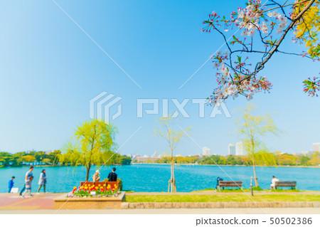 Urban oasis Spring Ohori Park [Fukuoka Prefecture] 50502386