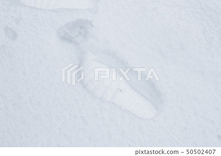 Snow footprint Snow footprint 50502407