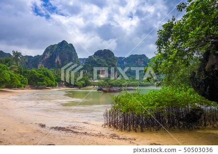 Railay beach in Krabi, Thailand Railay beach in Krabi, Thailand 50503036