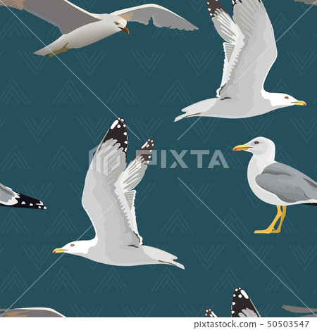 Sea gulls seamless pattern. Hovering, soaring 50503547