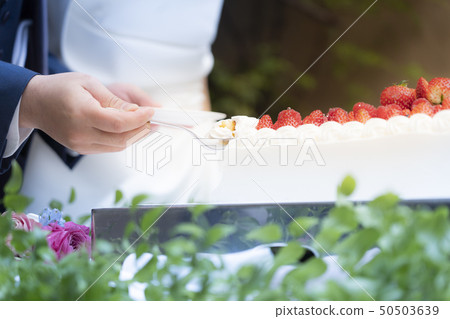 Wedding cake (raw cake) Wedding cake (raw cake) 50503639