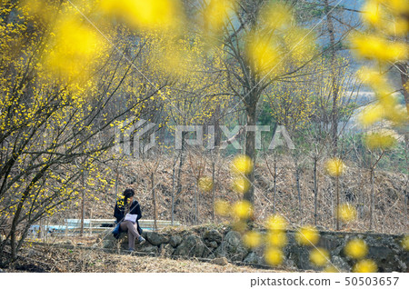 South Korea Jeollanam-do Gurye Sansou Village 50503657