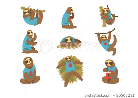 Funny sloths set, lazy exotic rainforest animal character in different postures vector Illustrations Funny sloths set, lazy exotic rainforest animal character in different postures vector Illustrations 50505251