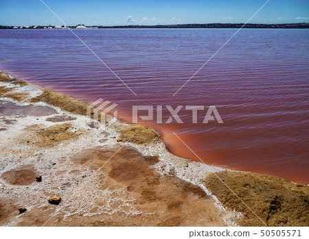 Laguna Salada in Torrevieja, Spain. Pink Salted lake. Salinas Natural Park. 50505571