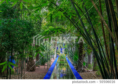 The Majorelle Garden is a botanical garden and The Majorelle Garden is a botanical garden and 50506016