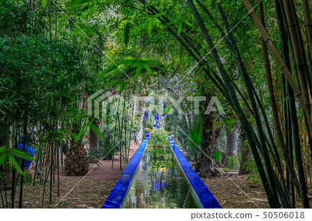The Majorelle Garden is a botanical garden and 50506018