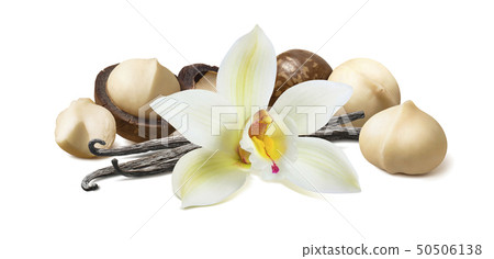 Vanilla flower and pods with macadamia nuts Vanilla flower and pods with macadamia nuts 50506138