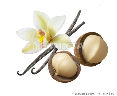 Vanilla flower and beans with macadamia nuts Vanilla flower and beans with macadamia nuts 50506139