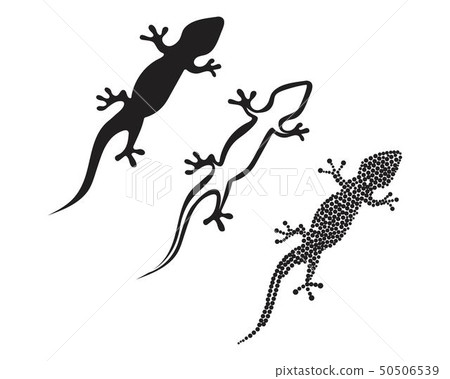 Lizard Chameleon Gecko Silhouette black Lizard Chameleon Gecko Silhouette black 50506539