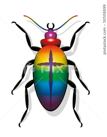 Decline In Insect Populations Symbolic Bug Cross Decline In Insect Populations Symbolic Bug Cross 50508899