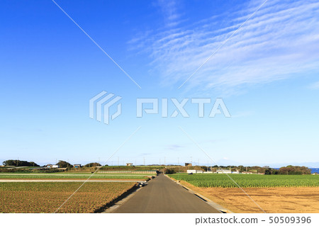 Field (autumn) Field (autumn) 50509396