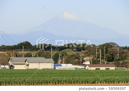 Field (autumn) Field (autumn) 50509397