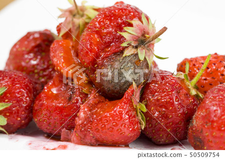 strawberry with mold 50509754