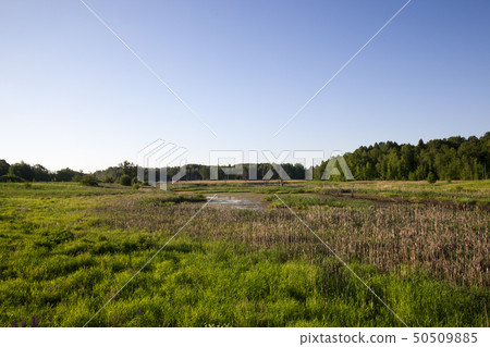 Summer landscape Summer landscape 50509885