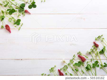 野花和白色樹背景材料 50510182