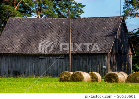 Hay bales in the meadow near the barn. 50510601
