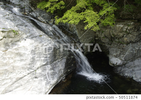 奈良御手洗峽谷 奈良御手洗峽谷 50511874