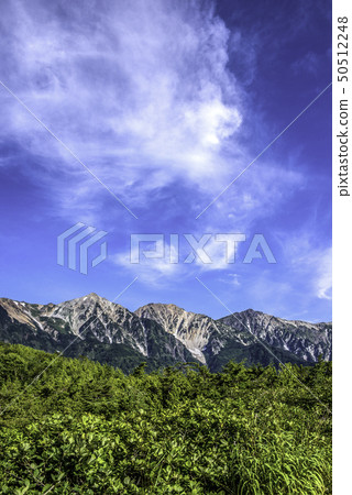 藍天和新鮮的綠色白馬Miyama 藍天和新鮮的綠色白馬Miyama 50512248