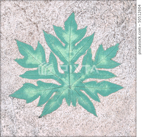 Marks of leaf on the concrete pavement. 50512604