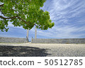 Clear blue sky with fresh green and beautiful clouds 50512785