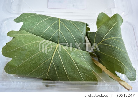 Kashiwa mochi 50513247