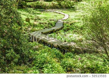 Hyogo Prefecture Rokko Takayama Botanical Garden Hyogo Prefecture Rokko Takayama Botanical Garden 50513593