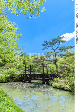 兵庫縣六甲高山植物園 兵庫縣六甲高山植物園 50513603