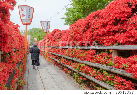 長岡天滿宮的霧島松久接近道路 50515358