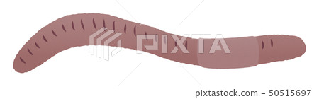 Earthworm Single item 1 50515697