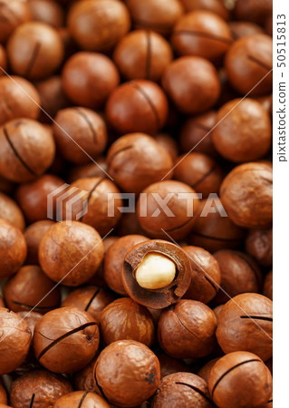 Macadamia nuts in large quantities in bulk in the Macadamia nuts in large quantities in bulk in the 50515813