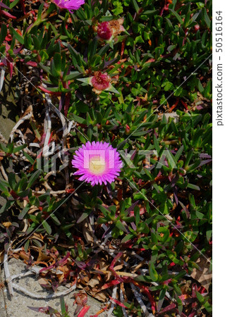 Nakanoura Church part 7 50516164