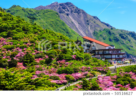 Nita Pass的Miyama Kirishima [長崎縣雲仙市] 50516627