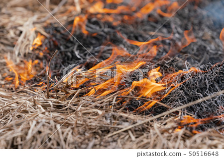 Dry grass burning in meadow at springtime. Smoke 50516648