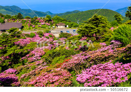Miyama Kirishima of Nita Pass [Unzen City, Nagasaki Prefecture] 50516672