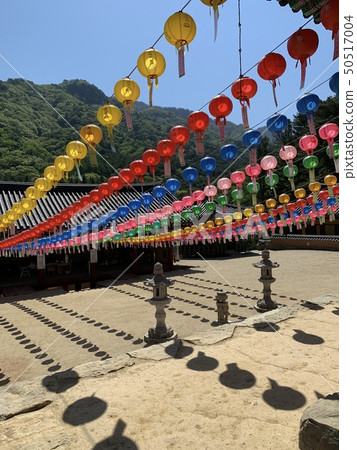 佛陀節 佛陀節 50517004