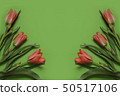 spring tulip flowers on green background. Top view 50517106