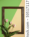 spring tulip flowers with frame on green and beige 50517117