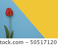spring flower on yellow and blue background. Top 50517120