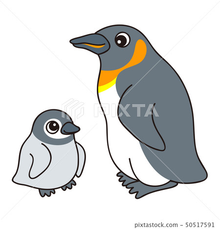 Oosama penguin kingpenguin Oosama penguin kingpenguin 50517591