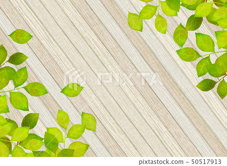 Leaky Leaf Texture Background Material Leaky Leaf Texture Background Material 50517913