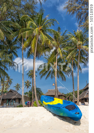 summer vacation with activity on tropical beach summer vacation with activity on tropical beach 50518959