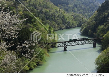 Wind Kotami line new green running on the third bridge of the Tadami River Wind Kotami line new green running on the third bridge of the Tadami River 50519579