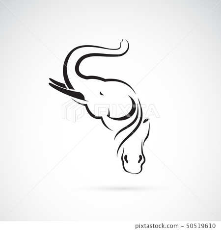 Vector of an elephant head and horse head. Vector of an elephant head and horse head. 50519610