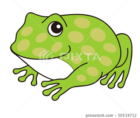 Belt frog character illustration 50519712