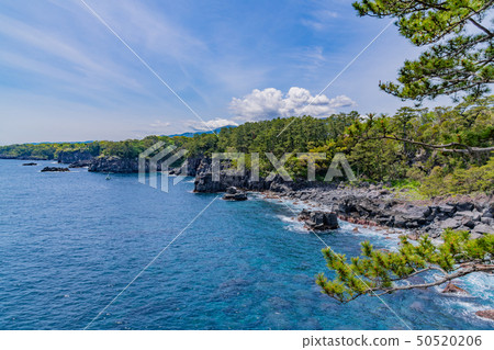 靜岡縣伊東市長崎海岸 50520206