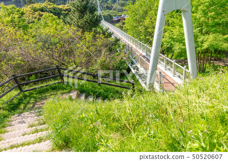新鮮的綠色Kamo Yurarinko Bridge_福岡縣福島市福井福井(懸索橋/懸索橋) 新鮮的綠色Kamo Yurarinko Bridge_福岡縣福島市福井福井(懸索橋/懸索橋) 50520607
