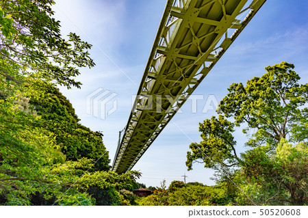 新鮮的綠色Kamo Yurarinko Bridge_福岡縣福島市福井福井(懸索橋/懸索橋) 新鮮的綠色Kamo Yurarinko Bridge_福岡縣福島市福井福井(懸索橋/懸索橋) 50520608