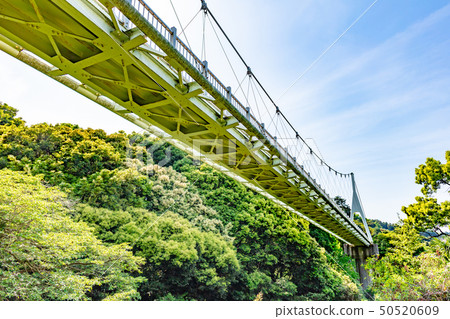 新鮮的綠色Kamo Yurarinko Bridge_福岡縣福島市福井福井(懸索橋/懸索橋) 新鮮的綠色Kamo Yurarinko Bridge_福岡縣福島市福井福井(懸索橋/懸索橋) 50520609